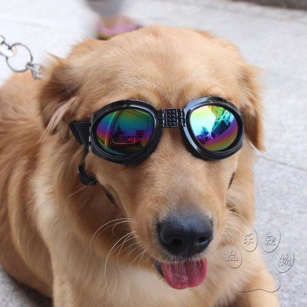 dog apparel goggles fashion pet sunglasses eye wear protection uv sun glasses accessories
dog apparel goggles fashion pet sunglasses eye wear protection uv sun glasses accessories