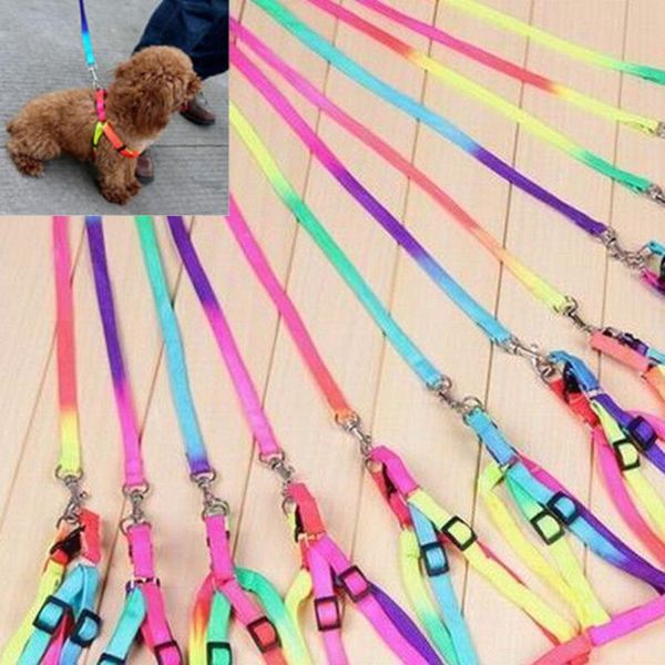 dog collars & leashes pet small puppy cat nylon harness collar leash lead adjustable
dog collars & leashes pet small puppy cat nylon harness collar leash lead adjustable