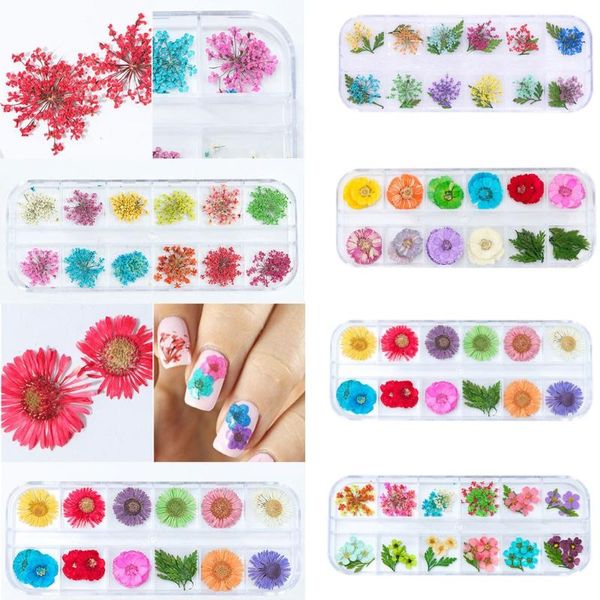 nail art decorations 2021 dried flowers leaf decoration natural floral sticker 3d dry decals jewelry uv gel polish manicure decor, Silver;gold
nail art decorations 2021 dried flowers leaf decoration natural floral sticker 3d dry decals jewelry uv gel polish manicure decor, Silver;gold