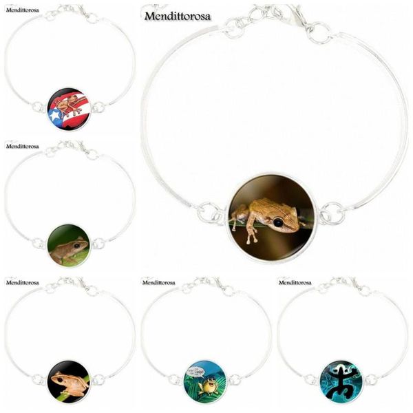 charm bracelets puerto rican coqui bracelet bangle round glass cabochon bangles friendship gift jewelry for girls, Golden;silver
charm bracelets puerto rican coqui bracelet bangle round glass cabochon bangles friendship gift jewelry for girls, Golden;silver