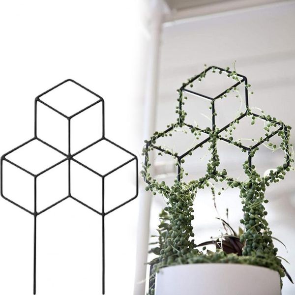 other garden supplies metal useful gardening plants support frame compact design plant supports long lasting for yard
other garden supplies metal useful gardening plants support frame compact design plant supports long lasting for yard