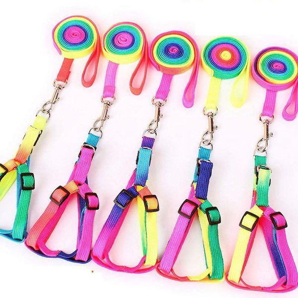 fashion pet nylon leash for dog harness set colorful puppy small traction rope adjustable collars & leashes
fashion pet nylon leash for dog harness set colorful puppy small traction rope adjustable collars & leashes