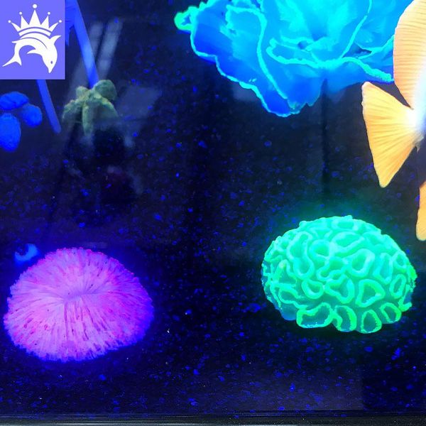 decorations aquarium artificial fish tank fake glow coral plant decoration landscaping underwater aquatic sea ornament
decorations aquarium artificial fish tank fake glow coral plant decoration landscaping underwater aquatic sea ornament