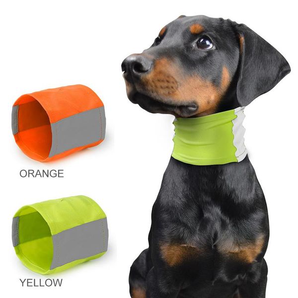 dog collars & leashes safety reflective scarf greyhound collar soft nylon elastic pet necklace with leash hole for medium large dogs
dog collars & leashes safety reflective scarf greyhound collar soft nylon elastic pet necklace with leash hole for medium large dogs