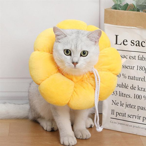 cat collars & leads sunflower shape collar pet elizabeth circle wound healing anti bite sun flower dog supplies
cat collars & leads sunflower shape collar pet elizabeth circle wound healing anti bite sun flower dog supplies