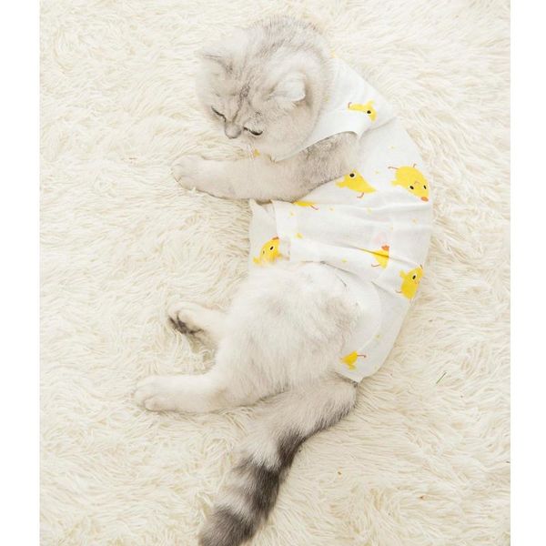 cat costumes neutering clothes anti-lick costume comfortable recovery female male vest all season accessory n117
cat costumes neutering clothes anti-lick costume comfortable recovery female male vest all season accessory n117