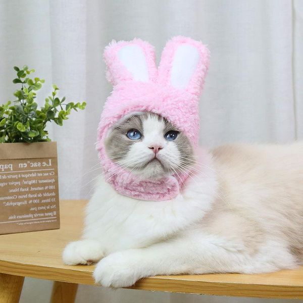 cat costumes headgear costume ears hat cute pet cosplay small dogs kitten accessories
cat costumes headgear costume ears hat cute pet cosplay small dogs kitten accessories