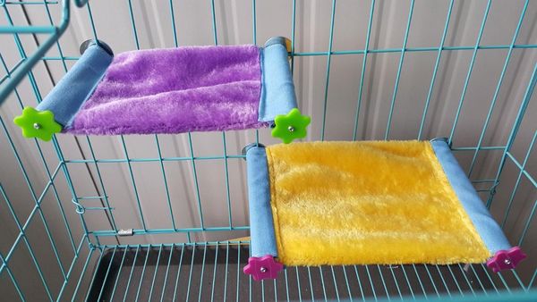 chinchillas squirrels sugar gliders hammocks lambs cashmere warm hanging nests soft parrot cotton bird cages
chinchillas squirrels sugar gliders hammocks lambs cashmere warm hanging nests soft parrot cotton bird cages