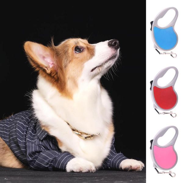 dog collars & leashes 5 m flexible leash pet medium puppy automatic switch control retractable retractor adjustable
dog collars & leashes 5 m flexible leash pet medium puppy automatic switch control retractable retractor adjustable