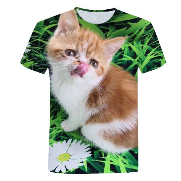 men's t-shirts man t shirt short sleeve animal printing graphic t-shirt summer harajuka casual round neck oversized 2021, White;black
men's t-shirts man t shirt short sleeve animal printing graphic t-shirt summer harajuka casual round neck oversized 2021, White;black