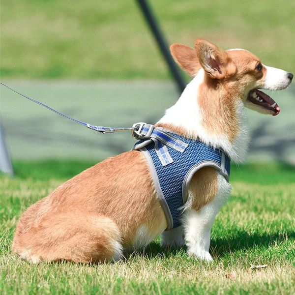 puppy cat harnesses vest reflective dog harness and leash set for chihuahua pug small medium walking lead accessories collars & leashes
puppy cat harnesses vest reflective dog harness and leash set for chihuahua pug small medium walking lead accessories collars & leashes