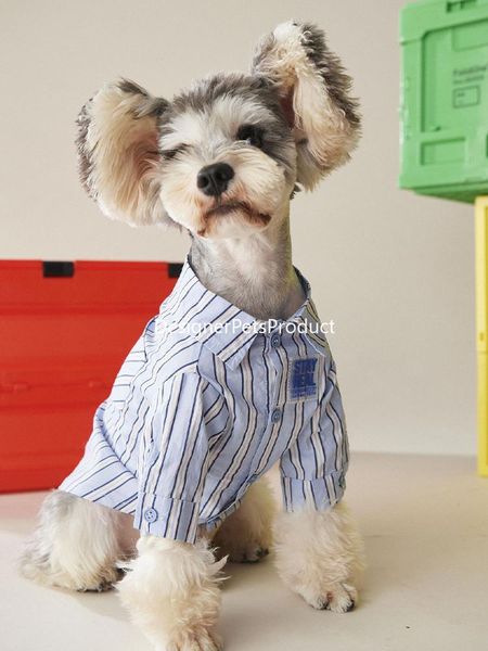 dog apparel dogs clothes pet shirts cute costume schnauzer chihuahua for small t blue
dog apparel dogs clothes pet shirts cute costume schnauzer chihuahua for small t blue