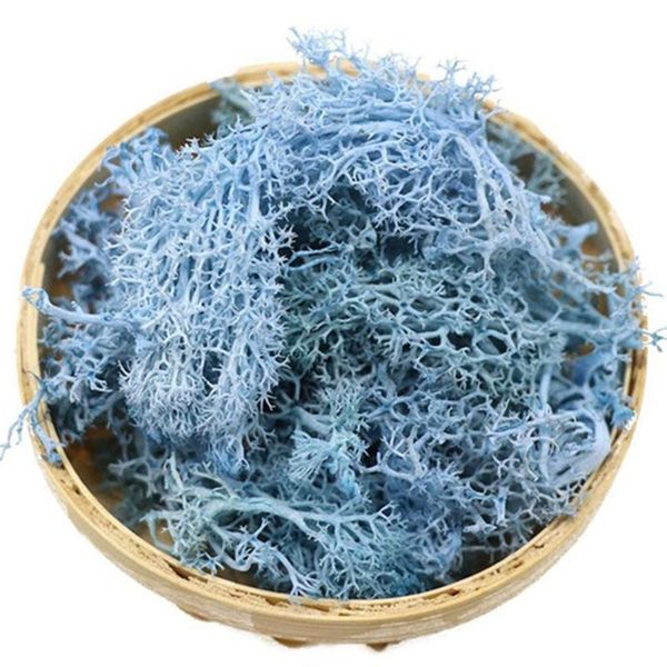 decorations ly artificial moss decorative sphagnum dry natural fresh flowers grass for flower garden lawn wedding decoration
decorations ly artificial moss decorative sphagnum dry natural fresh flowers grass for flower garden lawn wedding decoration