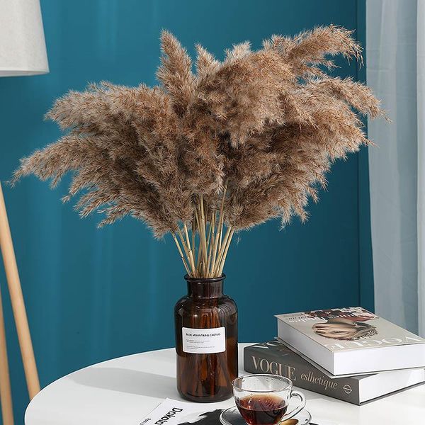 decorative flowers & wreaths 10 pcs pampas grass decor real dried plants wedding natural phragmites christmas home decoration 60cm
decorative flowers & wreaths 10 pcs pampas grass decor real dried plants wedding natural phragmites christmas home decoration 60cm