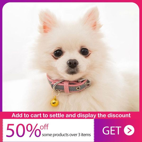 cat costumes kitten collar with bell safety dog chihuahua pet adjustable leash and supplies
cat costumes kitten collar with bell safety dog chihuahua pet adjustable leash and supplies
