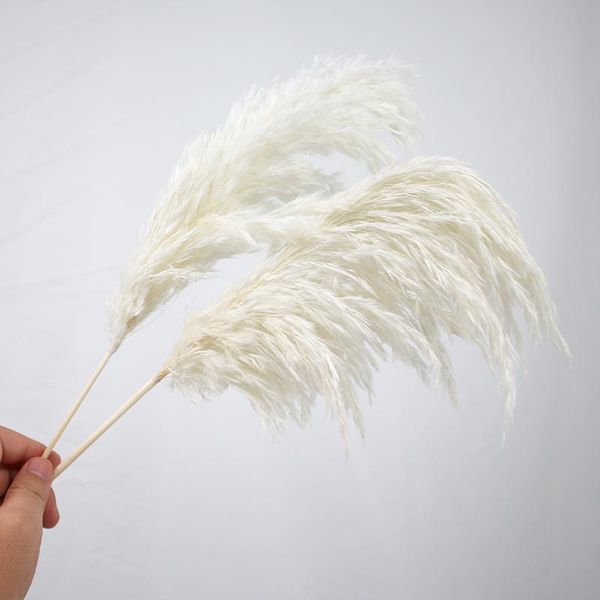 decorative flowers & wreaths 10pcs white/natural pampas wedding table home decoration boho dried flower vase fluffy natural drop
decorative flowers & wreaths 10pcs white/natural pampas wedding table home decoration boho dried flower vase fluffy natural drop