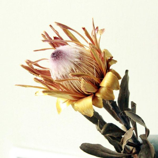decorative flowers & wreaths 1pc dried real flower branch christmas luxury decor flowers, garden, wedding , home decoration art
decorative flowers & wreaths 1pc dried real flower branch christmas luxury decor flowers, garden, wedding , home decoration art