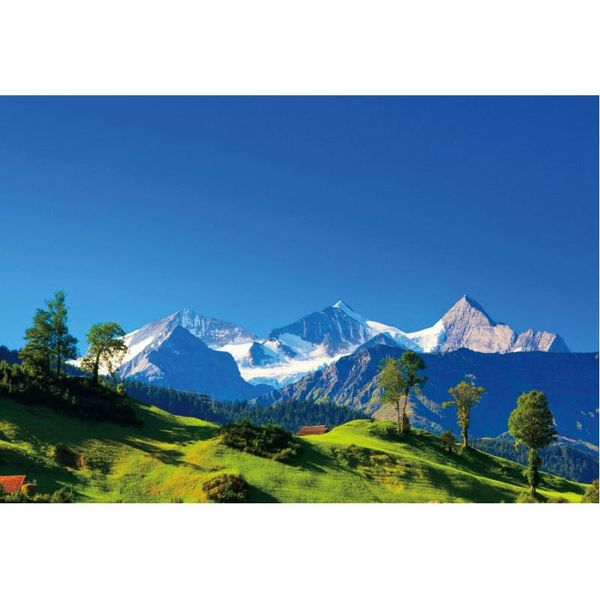 party decoration natural scenery backdrop grassland under blue sky and snow mountain decor born wedding po booth studio prop
party decoration natural scenery backdrop grassland under blue sky and snow mountain decor born wedding po booth studio prop