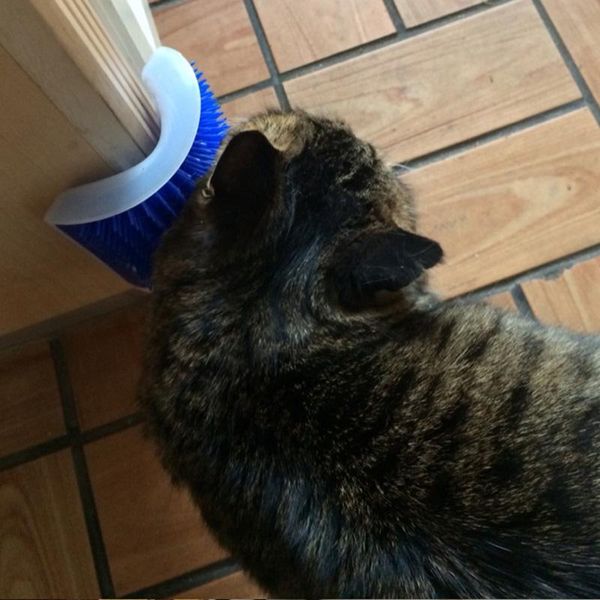 cat toys toy corner plastic scratch bristles arch massager self grooming scratcher pet brush comb play
cat toys toy corner plastic scratch bristles arch massager self grooming scratcher pet brush comb play