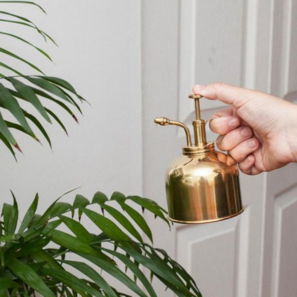 watering equipments bottle can nordic english-style vintage brass succulent plants small gold gardening spraying home plant pot tool 2021
watering equipments bottle can nordic english-style vintage brass succulent plants small gold gardening spraying home plant pot tool 2021
