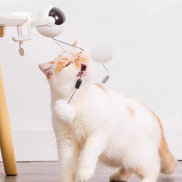 cat toys toy lifting ball cats teaser electric flutter rotating electronic motion pet interactive
cat toys toy lifting ball cats teaser electric flutter rotating electronic motion pet interactive