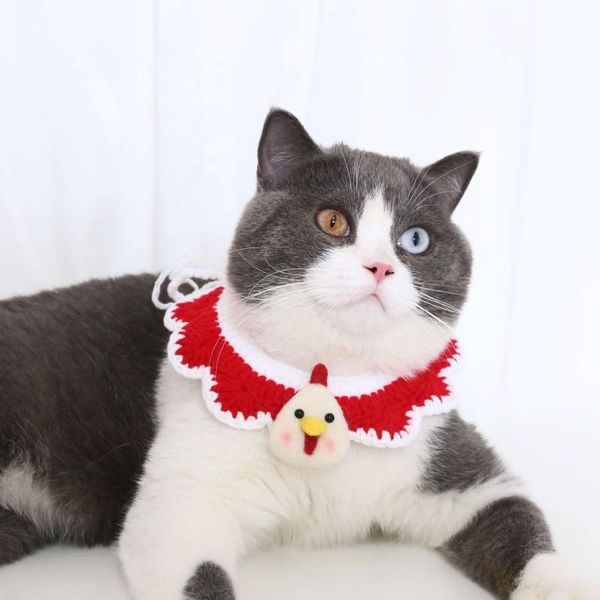 cat costumes pet dog handmade wool knitted cartoon collar duck bear christmas custom pography prop
cat costumes pet dog handmade wool knitted cartoon collar duck bear christmas custom pography prop