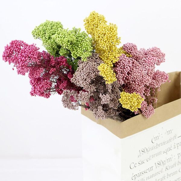 4pcs natural dried immortal millet flower mixed color ramillete flores eternell bouquet for home decor decorative flowers & wreaths
4pcs natural dried immortal millet flower mixed color ramillete flores eternell bouquet for home decor decorative flowers & wreaths