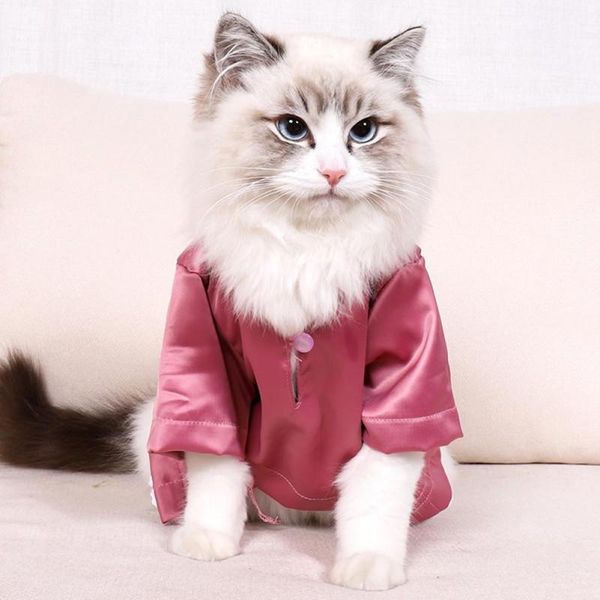 cat costume colorful cool t - shirt thin non stick wool japanese and wind clothing clothes 2021 spring summer costumes
cat costume colorful cool t - shirt thin non stick wool japanese and wind clothing clothes 2021 spring summer costumes