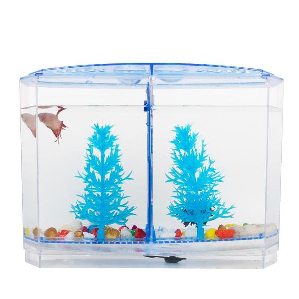 aquariums acrylic fish tank isolation box separation for home aquarium durable multi-functional lxy9
aquariums acrylic fish tank isolation box separation for home aquarium durable multi-functional lxy9
