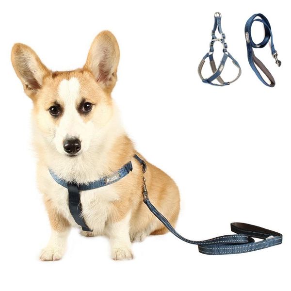 dog collars & leashes tuff hound step-in harness strap breathable soft multi-function walking pet vest with leash reflective rope
dog collars & leashes tuff hound step-in harness strap breathable soft multi-function walking pet vest with leash reflective rope
