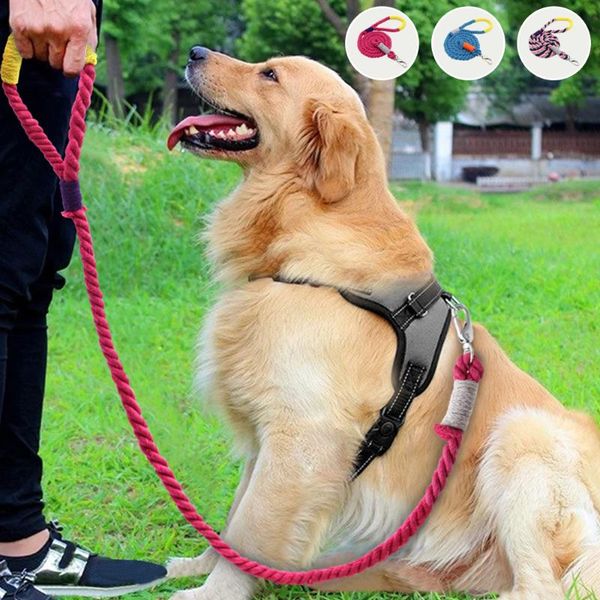 dog collars & leashes 160cm nylon leash lead durable pet walking running training rope for small medium large dogs supplies
dog collars & leashes 160cm nylon leash lead durable pet walking running training rope for small medium large dogs supplies
