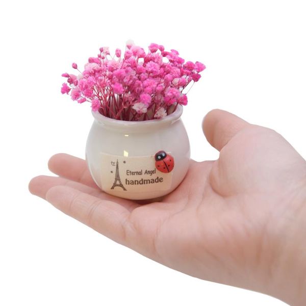 decorative flowers & wreaths dried flower mini home car-mounted potted ornaments gypsophila vase hand gift valentine grass decoration fall
decorative flowers & wreaths dried flower mini home car-mounted potted ornaments gypsophila vase hand gift valentine grass decoration fall