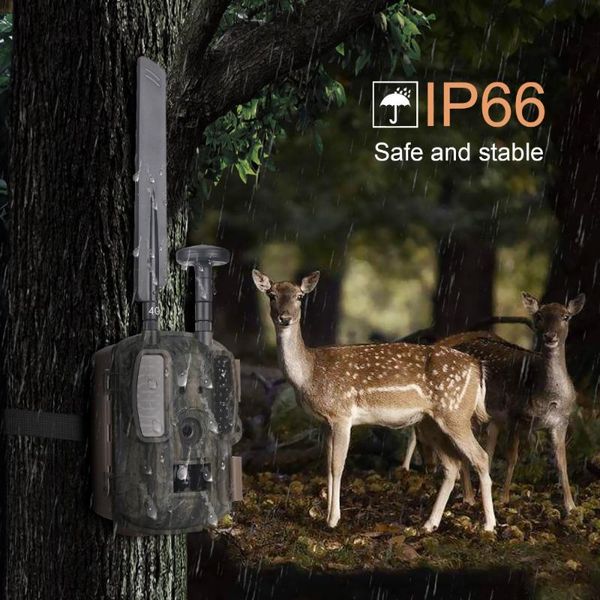 hunting camera 4g trail cameras bl480l-p 16mp 1080p po trap 0.6s trigger wild wildlife infrared chasse
hunting camera 4g trail cameras bl480l-p 16mp 1080p po trap 0.6s trigger wild wildlife infrared chasse