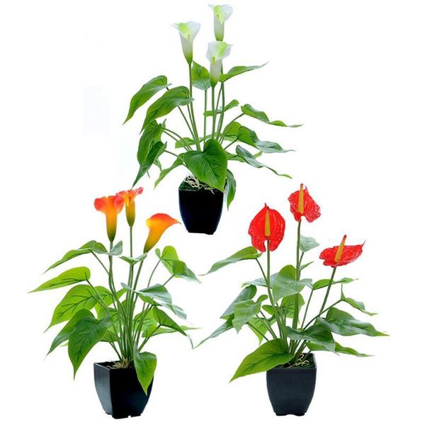 decorative flowers & wreaths simulation plant bonsai artificial flower common callalily green environmental potted quick delivery refined
decorative flowers & wreaths simulation plant bonsai artificial flower common callalily green environmental potted quick delivery refined