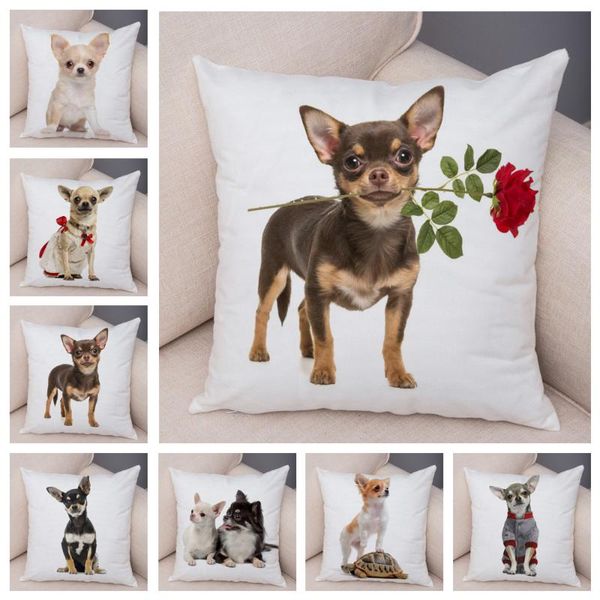 cushion/decorative pillow lovely pet animal case decor little dog chihuahua pillowcase soft plush cushion cover for car sofa home 45x45cm co
cushion/decorative pillow lovely pet animal case decor little dog chihuahua pillowcase soft plush cushion cover for car sofa home 45x45cm co