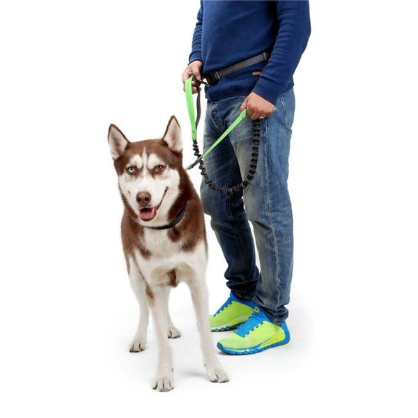 dog collars & leashes high elastic nylon reflective leash with waist belt hands adjustable pet night outdoor training products
dog collars & leashes high elastic nylon reflective leash with waist belt hands adjustable pet night outdoor training products