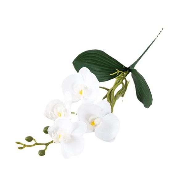 decorative flowers & wreaths 1pc 4 flower phalaenopsis small potted family garden el diy wedding pography christmas decoration ornaments cra
decorative flowers & wreaths 1pc 4 flower phalaenopsis small potted family garden el diy wedding pography christmas decoration ornaments cra