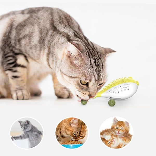 cat toys fish shape toothbrush refillable catnip simulation teeth cleaning chew interactive thumb funny toy
cat toys fish shape toothbrush refillable catnip simulation teeth cleaning chew interactive thumb funny toy