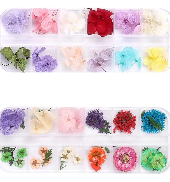 box real dried pressed flower dry plants natural nail flowers diy epoxy resin filling pendant scrapbooking craft accessories decorative & wr
box real dried pressed flower dry plants natural nail flowers diy epoxy resin filling pendant scrapbooking craft accessories decorative & wr