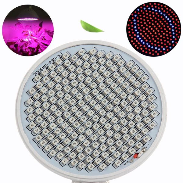 200pcs led plant grow lamp full spectrum tent box light indoor lighting hydroponic growth bulb flower seedling veg succulent lights
200pcs led plant grow lamp full spectrum tent box light indoor lighting hydroponic growth bulb flower seedling veg succulent lights