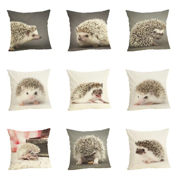 cushion/decorative pillow the hedgehog cushion cover throw case for home chair sofa decoration square pillowcases
cushion/decorative pillow the hedgehog cushion cover throw case for home chair sofa decoration square pillowcases