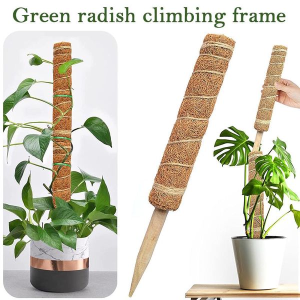 other garden supplies reusable plant climbing stand durable flower plants support for balcony courtyard easy to use nw
other garden supplies reusable plant climbing stand durable flower plants support for balcony courtyard easy to use nw
