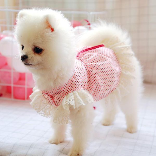 dog apparel summer pets clothing princess costume cat dress puppy yorkie poodle bichon frise pomeranian schnauzer clothes
dog apparel summer pets clothing princess costume cat dress puppy yorkie poodle bichon frise pomeranian schnauzer clothes