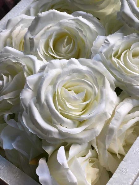 decorative flowers & wreaths 10pcs ivory silk rose head artificial fake for wedding home party decoration
decorative flowers & wreaths 10pcs ivory silk rose head artificial fake for wedding home party decoration