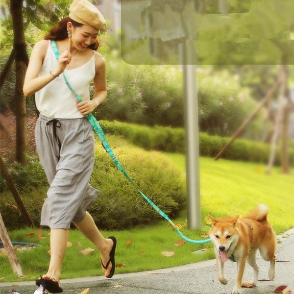 dog collars & leashes leash hands for dogs walking pet products walker print adjustable accesorios para gatos
dog collars & leashes leash hands for dogs walking pet products walker print adjustable accesorios para gatos