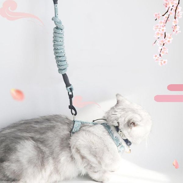 cat collars & leads all season fashion floral durable pet leash walk the cotton soft stylish harnesses adjustable cute puppy ro
cat collars & leads all season fashion floral durable pet leash walk the cotton soft stylish harnesses adjustable cute puppy ro
