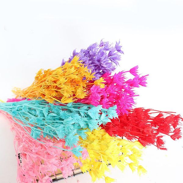 decorative flowers & wreaths 1 bouquet dried natural branch dry eternelle star anise flower wedding marriage home decor,floral arrangement
decorative flowers & wreaths 1 bouquet dried natural branch dry eternelle star anise flower wedding marriage home decor,floral arrangement