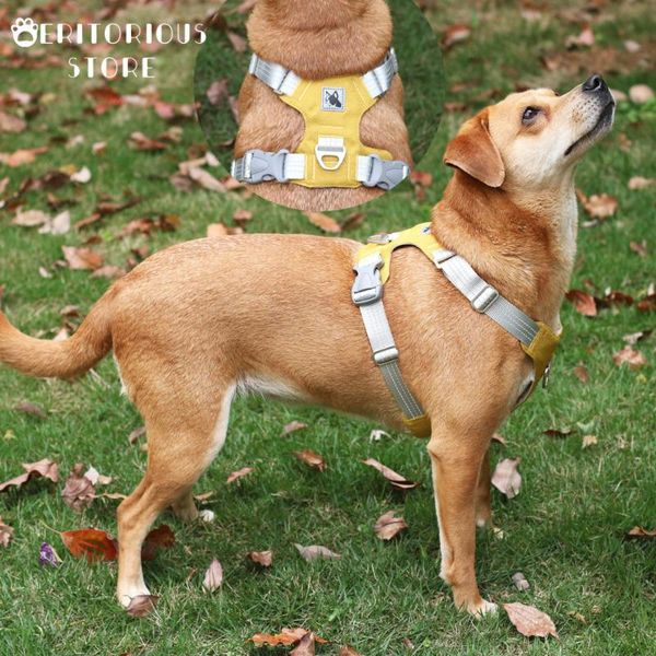 dog collars & leashes medium large harness vest breathable training adjustable reflective nylon pet chest strap for labrador doberman
dog collars & leashes medium large harness vest breathable training adjustable reflective nylon pet chest strap for labrador doberman