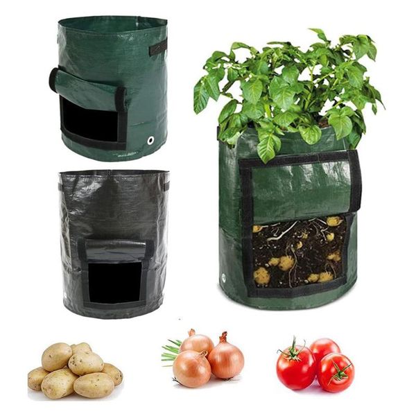 planters & pots breathable plant grow bag flower pot garden planter with handles for carrot peanut onion potato vegetable glowing tamato
planters & pots breathable plant grow bag flower pot garden planter with handles for carrot peanut onion potato vegetable glowing tamato