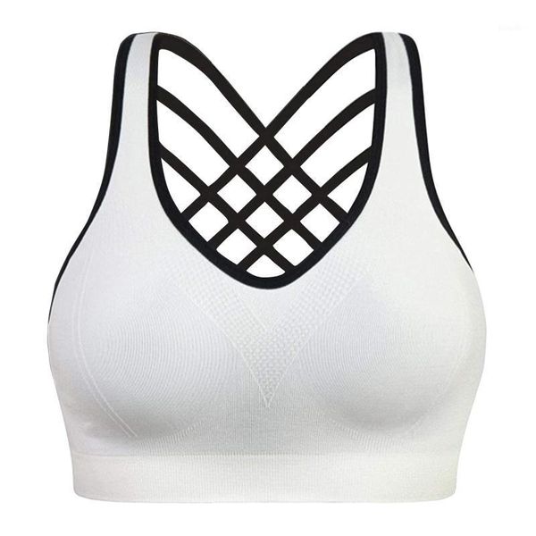 yoga outfit elastic gym workout wirepadded fitness running cross back summer soft women sports bra push up fashion crop casual
yoga outfit elastic gym workout wirepadded fitness running cross back summer soft women sports bra push up fashion crop casual